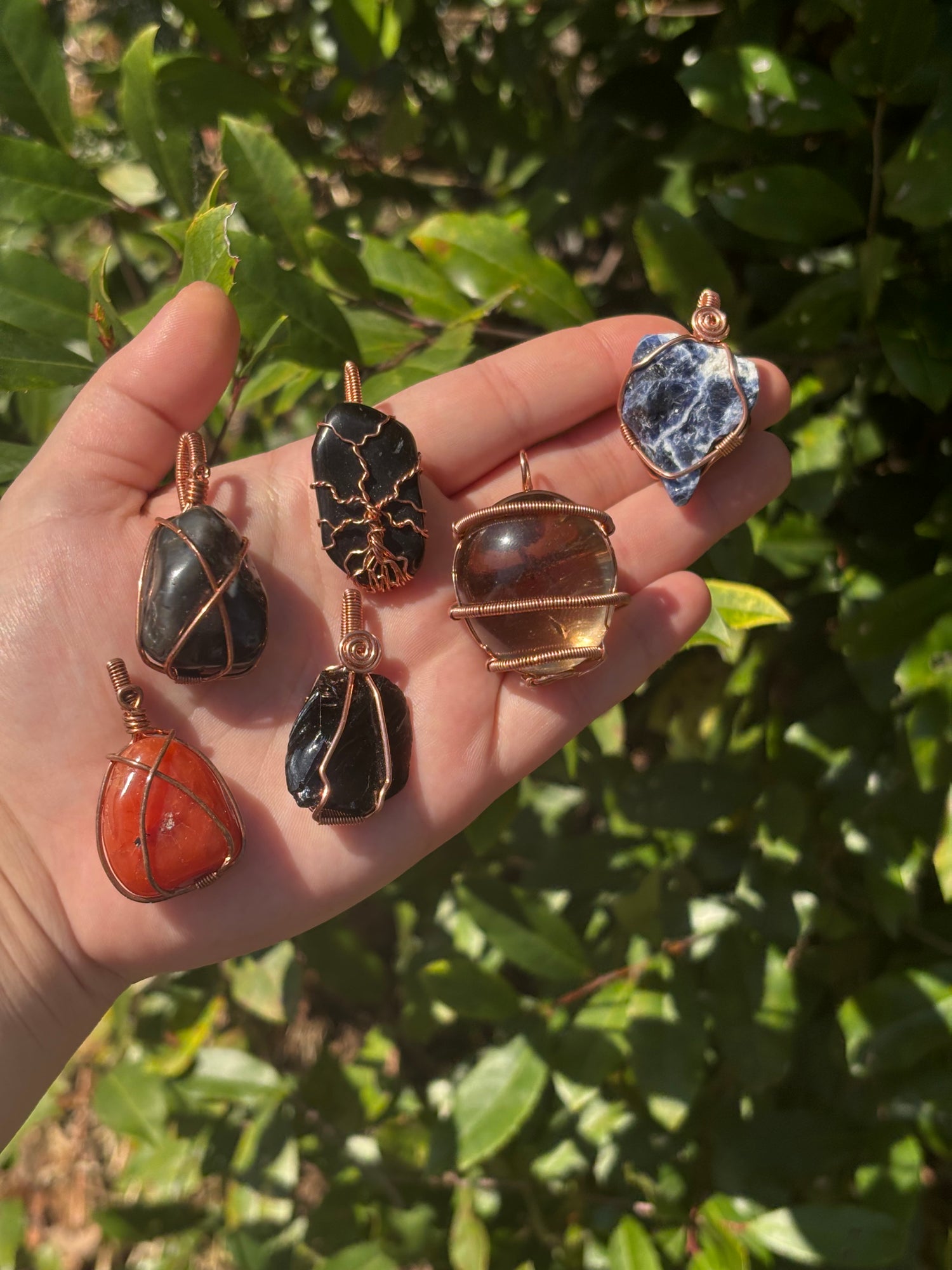 New arrivals