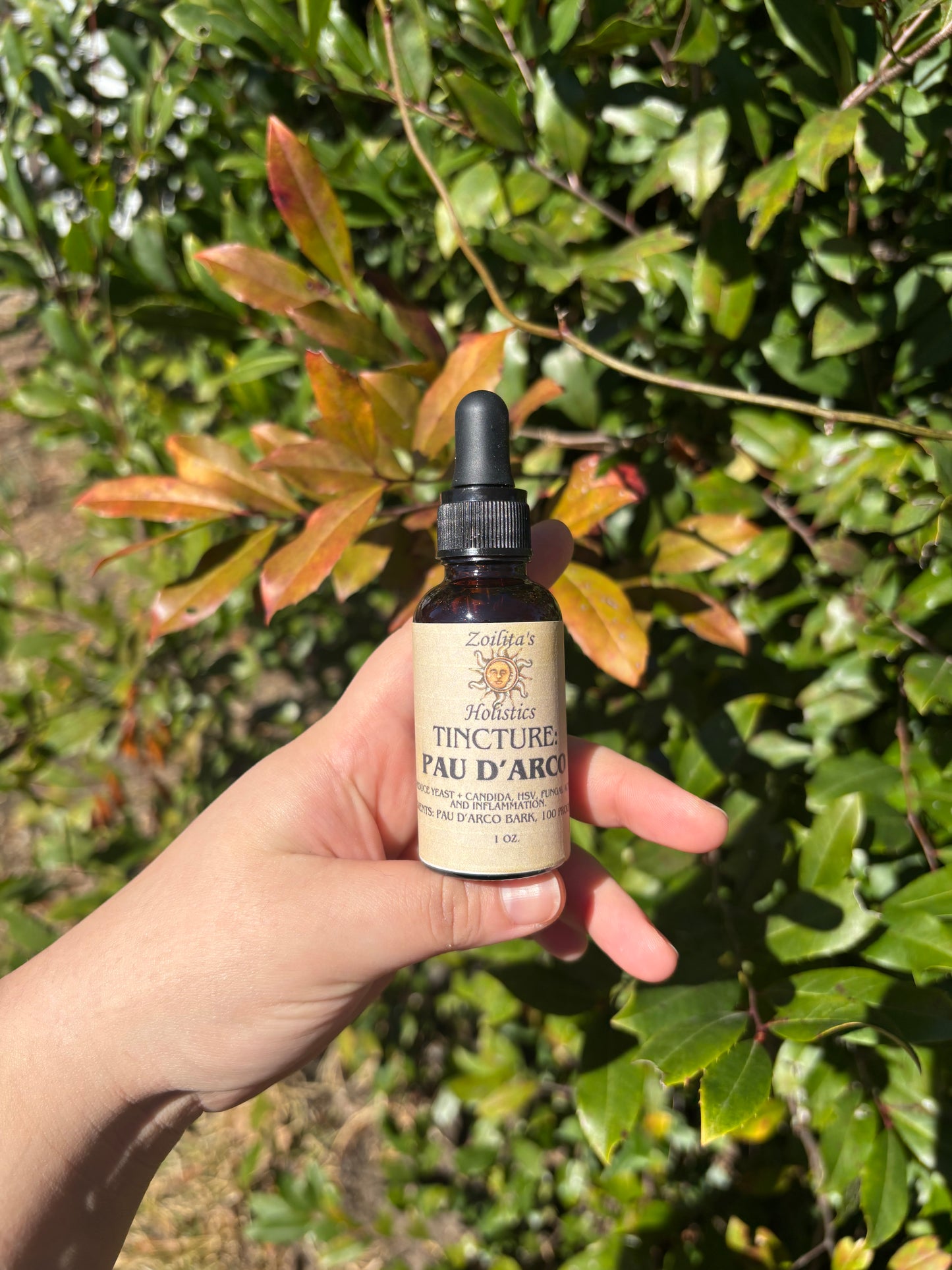 Pau D’Arco tincture